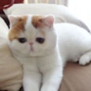 Meet your Posher, Peter+hiltrud